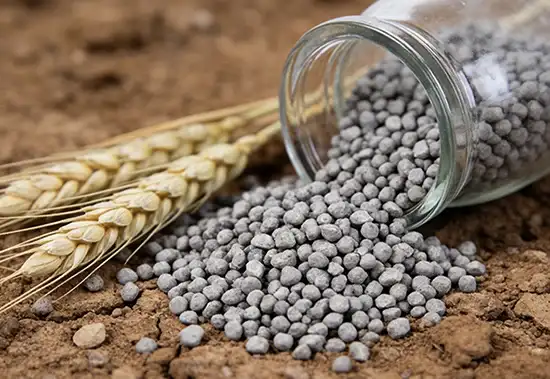 Nitrogen Fertilizer Production Line