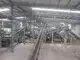 Steam Drum Granulation