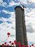 High-Tower Granulation